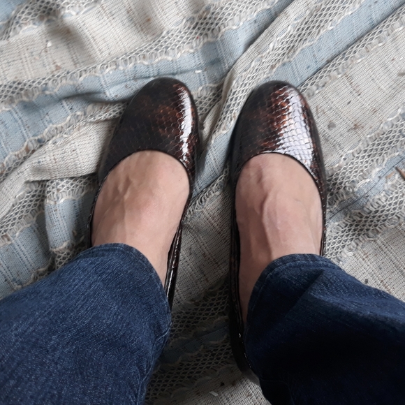 Brown and black snake print Fitzwell flats - Picture 1 of 9